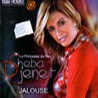 Jalouse