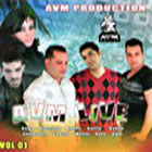 AVM Live 2010